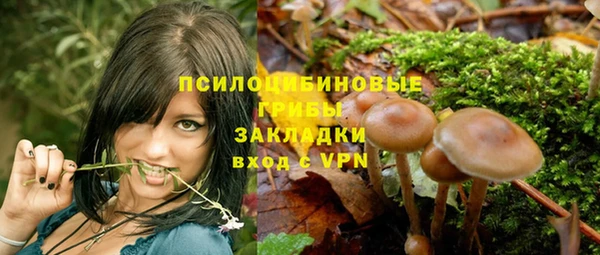 прущие крисы Баксан