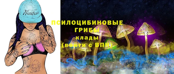 гидра Балабаново