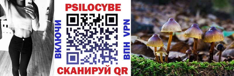 Галлюциногенные грибы GOLDEN TEACHER  Светлоград 